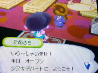 �ǂ��Ԃ̐X