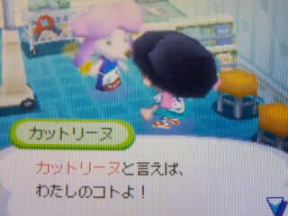 �ǂ��Ԃ̐X